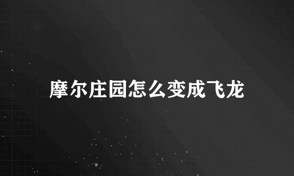 摩尔庄园怎么变成飞龙