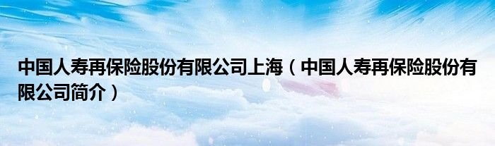 中国人寿再保险股份有限公司上海中国人寿再保险股份有限公司简介