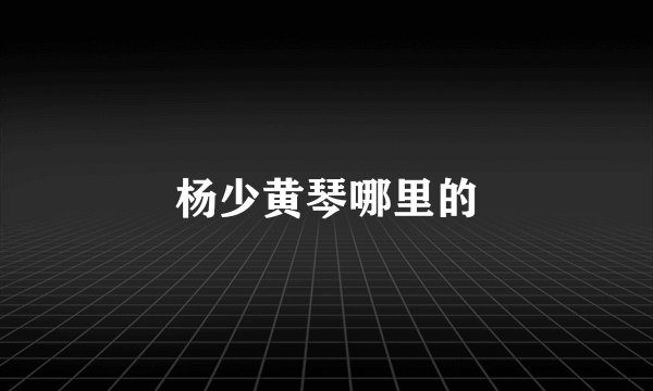 杨少黄琴哪里的