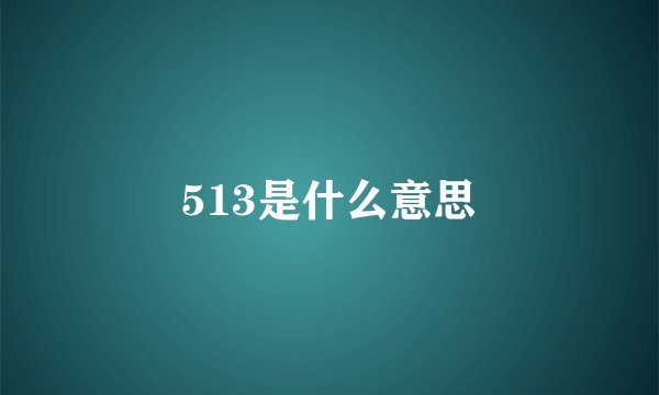 513是什么意思
