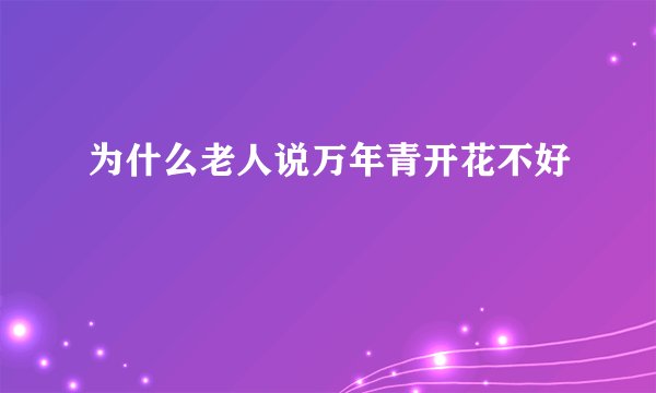 为什么老人说万年青开花不好
