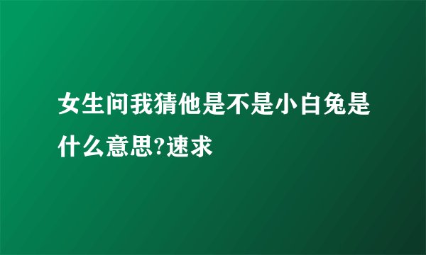 女生问我猜他是不是小白兔是什么意思?速求