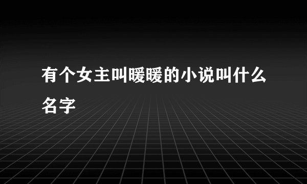 有个女主叫暖暖的小说叫什么名字