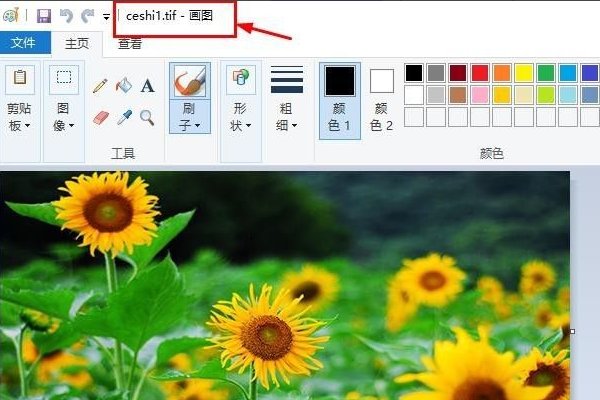tif格式如何打开？