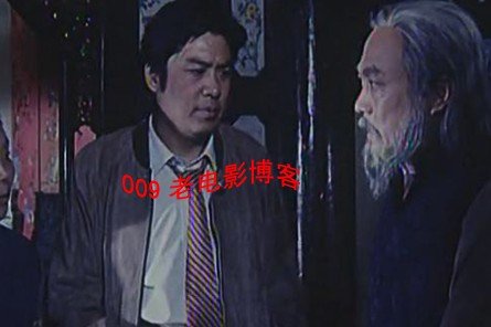 泰山恩仇的演员表