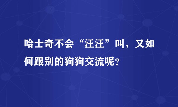 哈士奇不会“汪汪”叫，又如何跟别的狗狗交流呢？