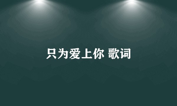 只为爱上你 歌词