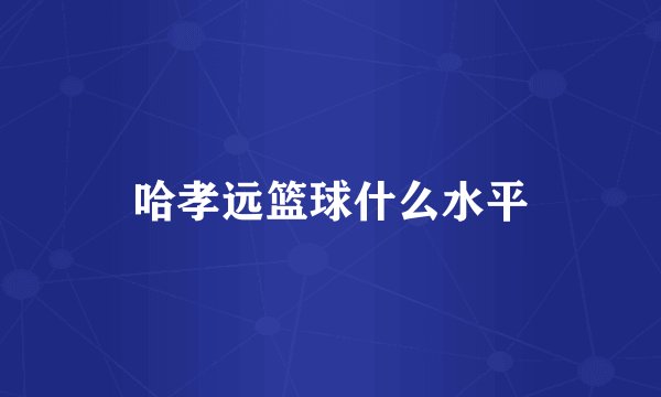 哈孝远篮球什么水平
