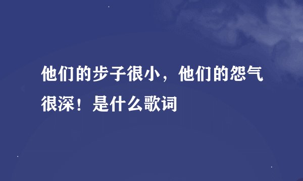 他们的步子很小，他们的怨气很深！是什么歌词