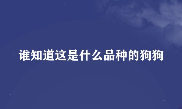 谁知道这是什么品种的狗狗