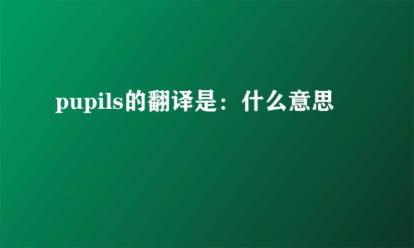 pupils的翻译是:什么意思