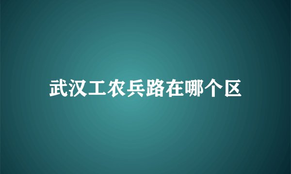 武汉工农兵路在哪个区