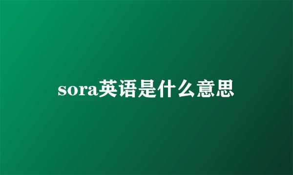 sora英语是什么意思
