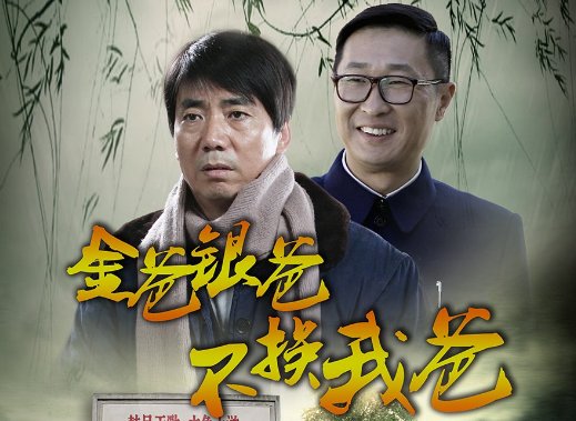 金爸银爸不换我大结局