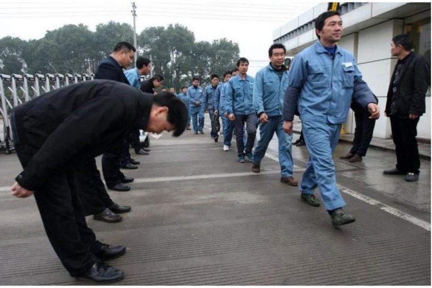 点头哈腰比喻什么动物