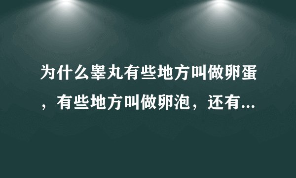 为什么睾丸有些地方叫做卵蛋，有些地方叫做卵泡，还有些地方叫做卵子？