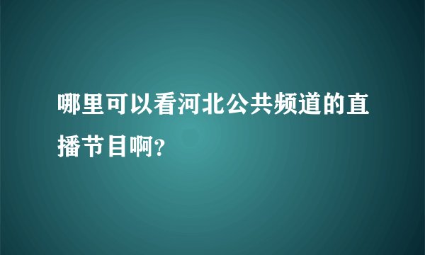 哪里可以看河北公共频道的直播节目啊？