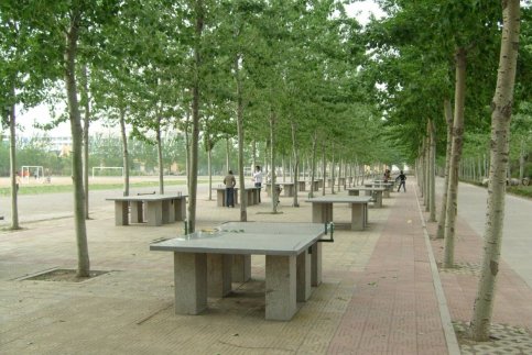 qau是哪个大学
