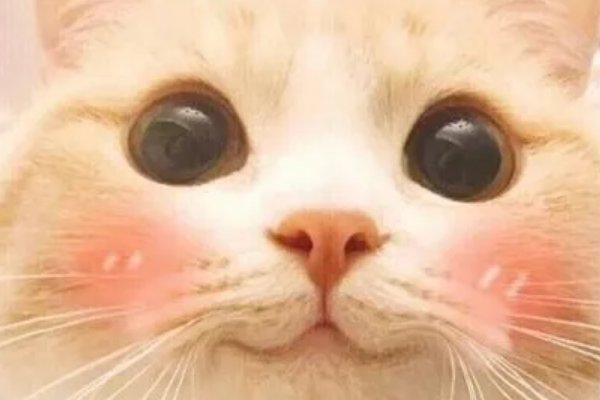 嘻嘻是什么意思