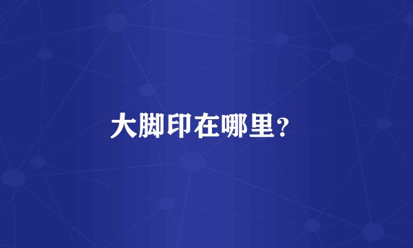 大脚印在哪里？