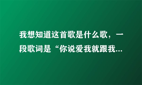 我想知道这首歌是什么歌,一段歌词是“你说爱我就跟我走,风雨也跟我走,……”