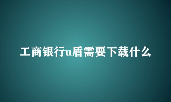 工商银行u盾需要下载什么