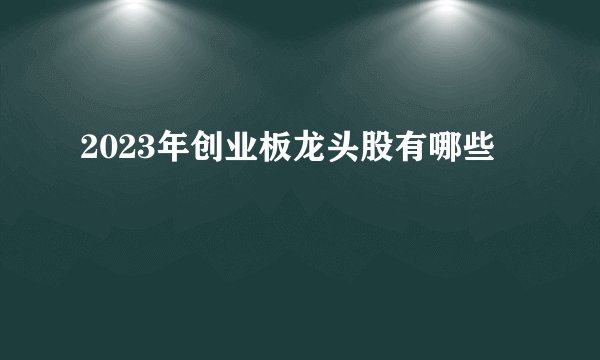 2023年创业板龙头股有哪些