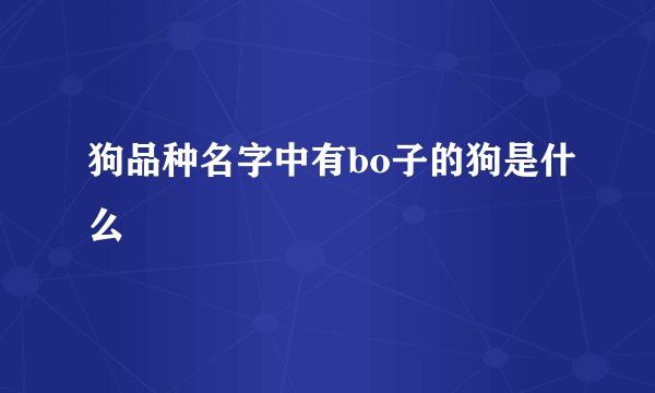 狗品种名字中有bo子的狗是什么