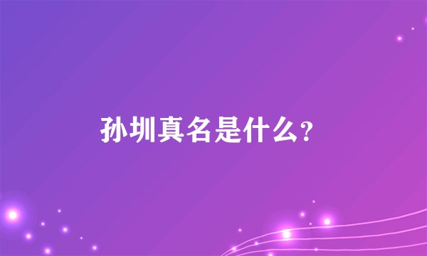 孙圳真名是什么？