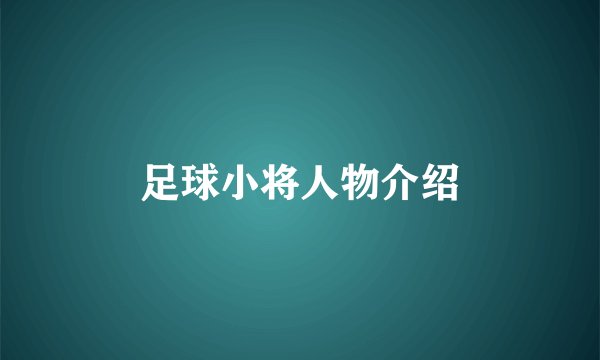 足球小将人物介绍