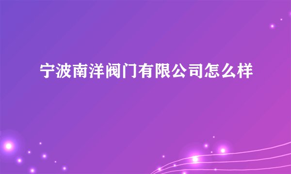 宁波南洋阀门有限公司怎么样