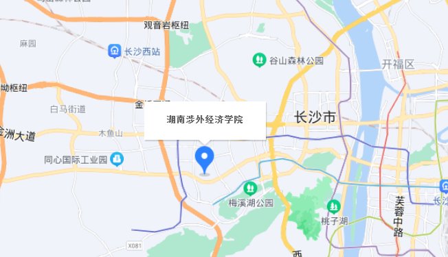 湖南涉外经济学院在哪