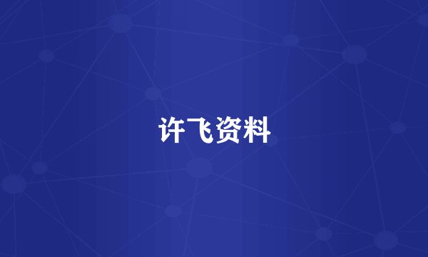 许飞资料