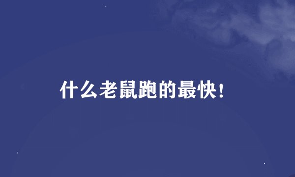 什么老鼠跑的最快！