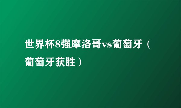 世界杯8强摩洛哥vs葡萄牙（葡萄牙获胜）