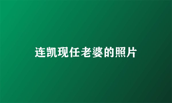 连凯现任老婆的照片