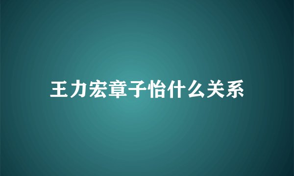 王力宏章子怡什么关系