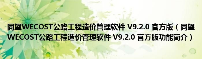 同望WECOST公路工程造价管理软件V920官方版同望WECOST公路工程造价管理软件V920官方版功能简介