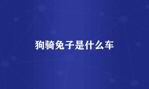 狗骑兔子是什么车