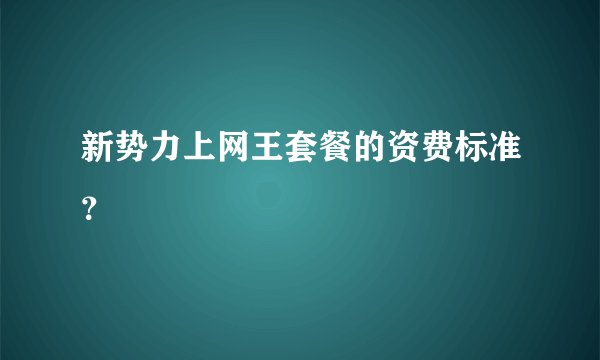 新势力上网王套餐的资费标准？