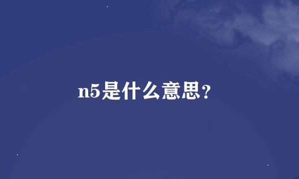 n5是什么意思？