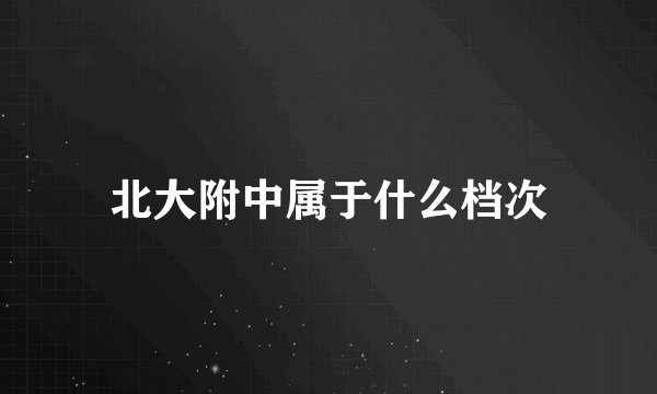 北大附中属于什么档次