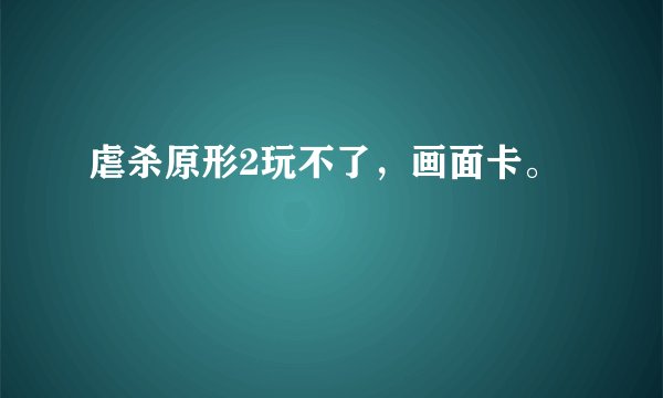 虐杀原形2玩不了，画面卡。