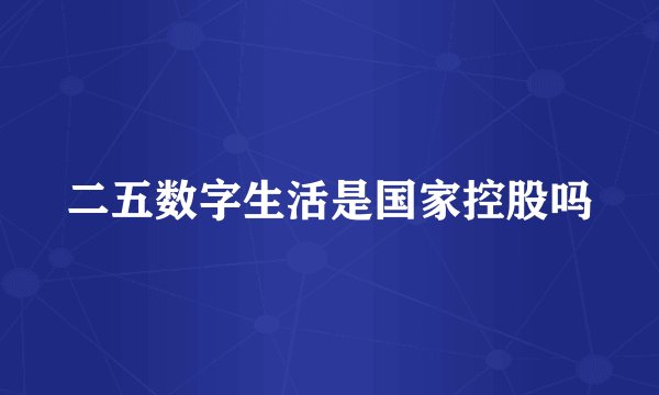 二五数字生活是国家控股吗