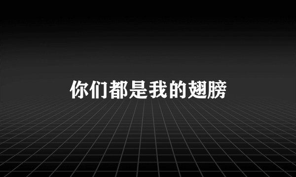 你们都是我的翅膀