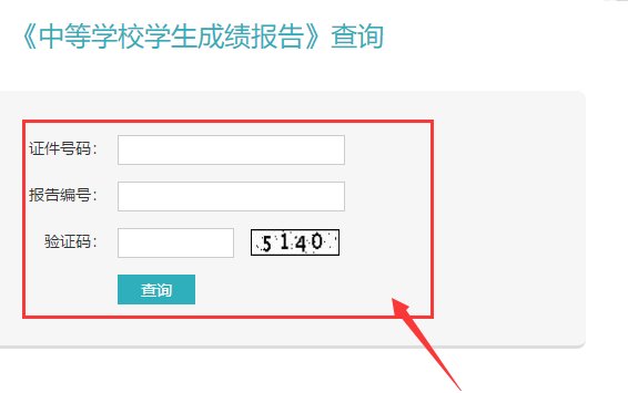 初中会考成绩在哪查询呢?