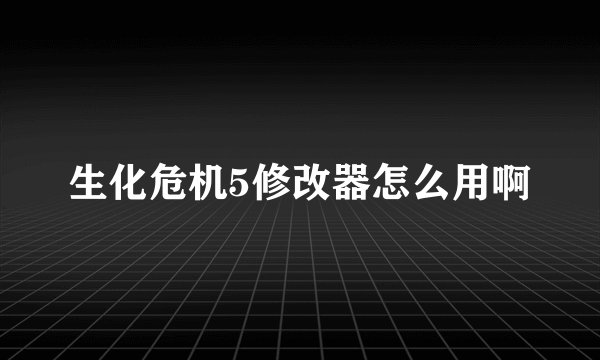生化危机5修改器怎么用啊