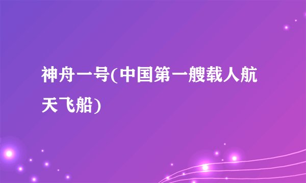 神舟一号(中国第一艘载人航天飞船)