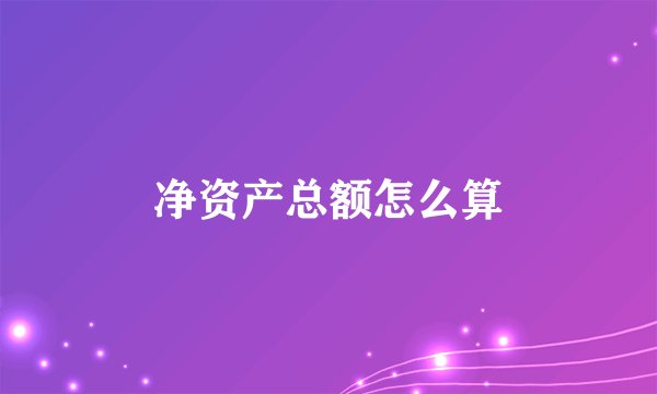 净资产总额怎么算