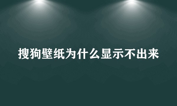 搜狗壁纸为什么显示不出来